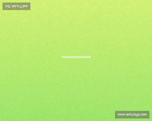 法甲经典对决回顾：激情四射的球场历程与永恒记忆